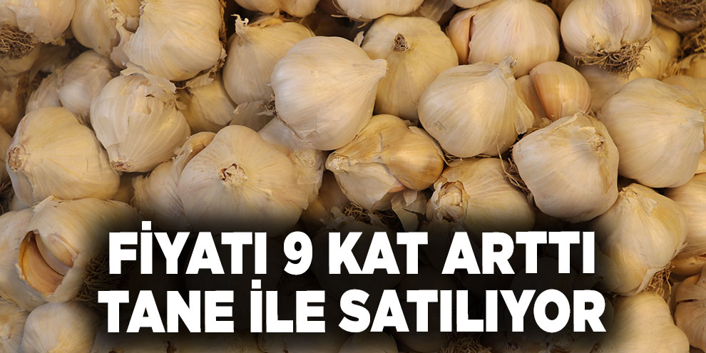 Fiyatı 9 kat arttı, tane ile satılıyor