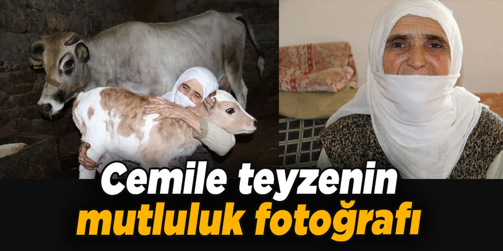 Cemile teyzenin mutluluk fotoğrafı