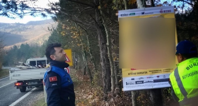 Reklam için ağaçlara çivi çaktılar