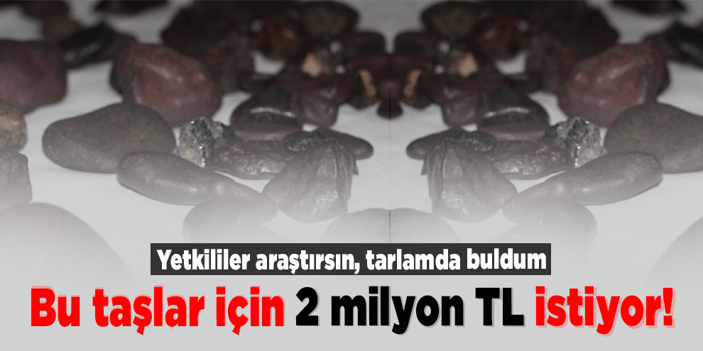 Gök taşı olduğunu iddia ettiği taşlar için 2 milyon istiyor