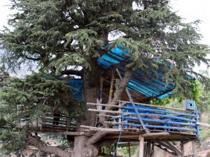 25 YILDIR AĞAÇ EVİNDE YAŞIYOR