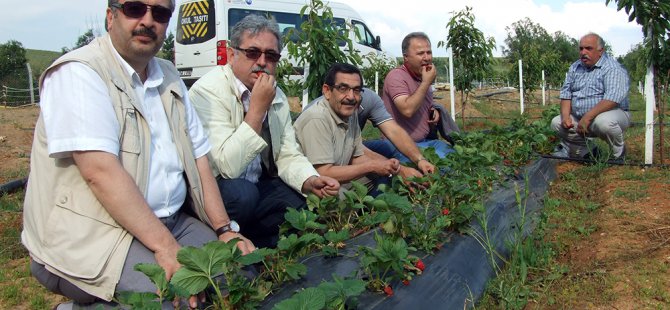 BALCIOĞLU: TARIMDA VERİMLİLİK VE KAZANCI ARTIRMALIYIZ‏