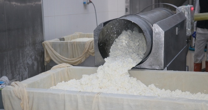 Yurt dışında pişen pizzalara, Sivas'ta üretilen peynir lezzet katıyor