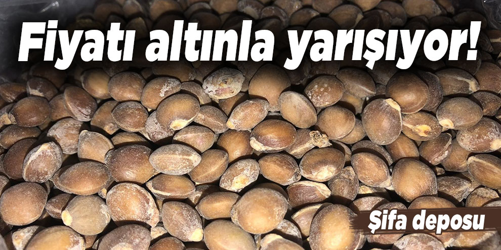 Fiyatı altınla yarışıyor! Şifa deposu