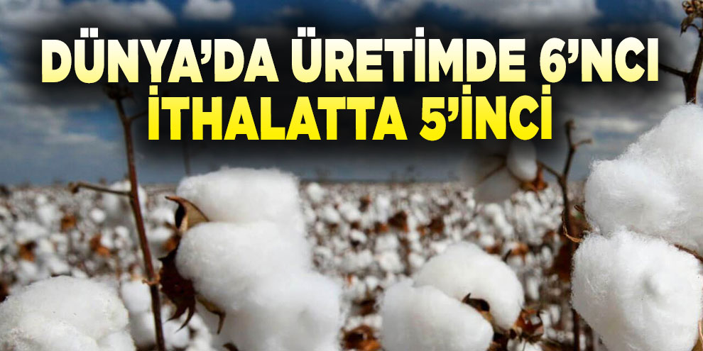 Türkiye pamuk üretiminde dünya altıncısı, ithalatta beşinci
