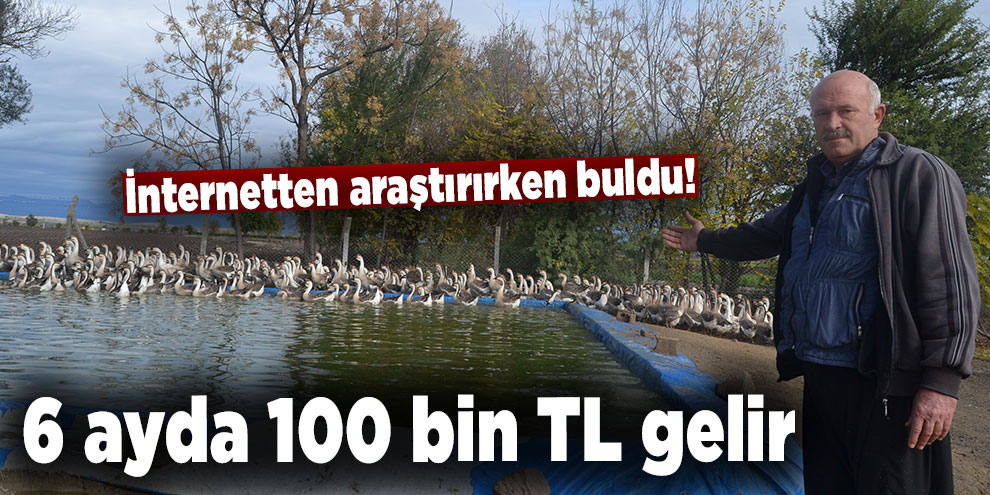 İnternetten araştırırken buldu! 6 ayda 100 bin TL gelir