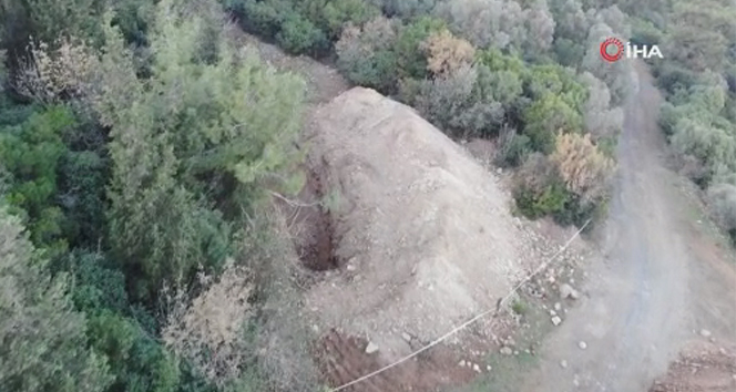 Adalar Kaymakamlığından Ruam hastalığı taşıyan atlara ilişkin açıklama