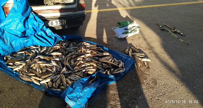 Kastamonu'da yasak olan 20 tırıvırı yakalandı