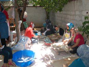 DOWN SENDROMLULARIN MUTLU GÜNÜ