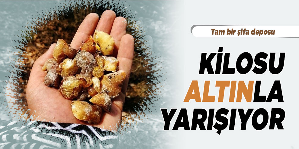 Kilosu altınla yarışıyor: Tam bir şifa deposu