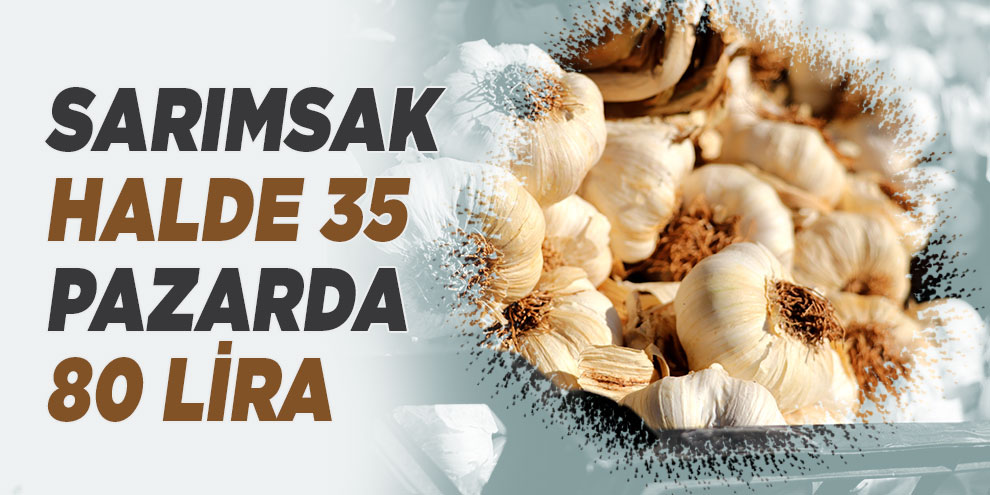 Sarımsak halde 35, pazarda 80 lira