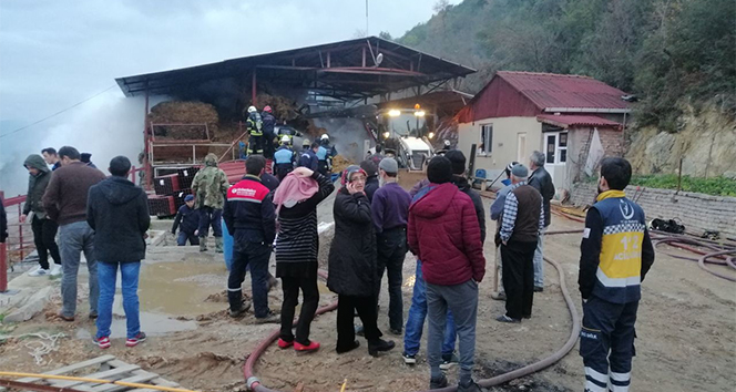 Çiftlikte çıkan yangında 12 ton saman balyası küle döndü