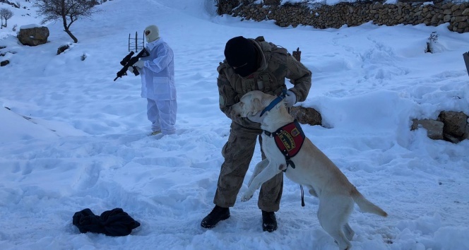 Şırnak'ta kayıp Süryani çifti arama çalışmaları devam ediyor