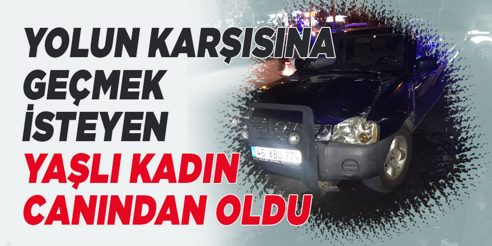 Yolun karşısına geçmek isteyen yaşlı kadın canından oldu
