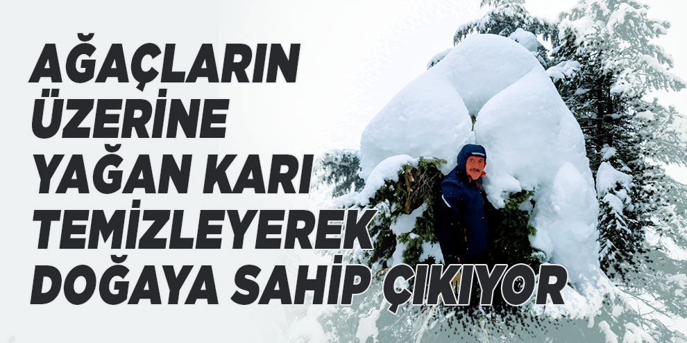 Ağaçların üzerine yağan karı temizleyerek doğaya sahip çıkıyor