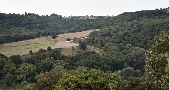 Çorlu'nun tek ormanlık bölgesi yaşamaya devam edecek