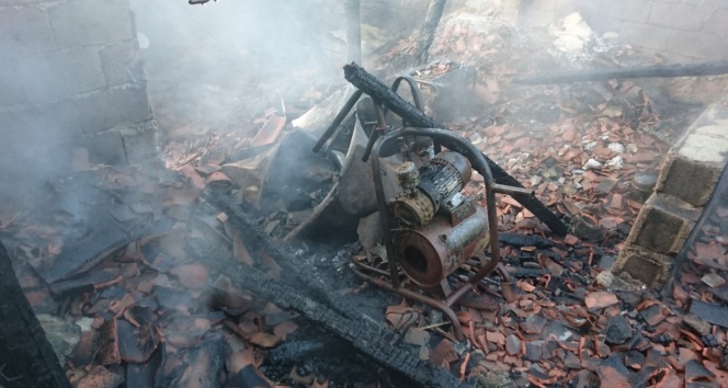 Dam yangınında 5 hayvan telef oldu