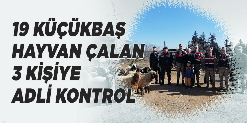 Kahramanmaraş’ta 19 küçükbaş hayvan çalan 3 kişiye adli kontrol