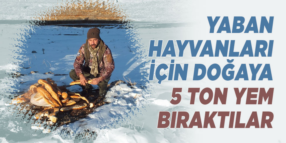 Yaban hayvanları için doğaya 5 ton yem bıraktılar