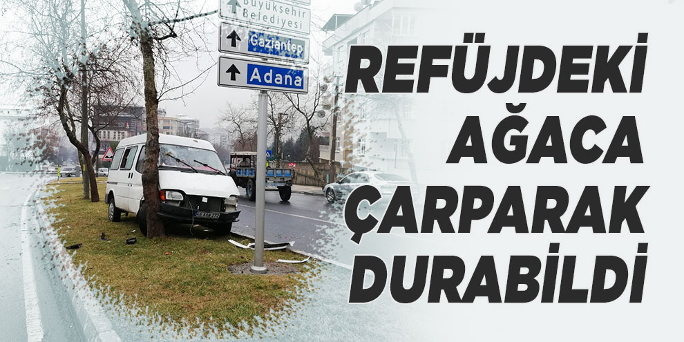 Refüjdeki ağaca çarparak durabildi