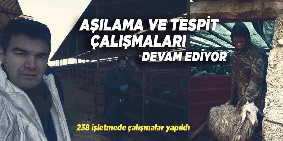 Aşılama ve tespit çalışmaları devam ediyor