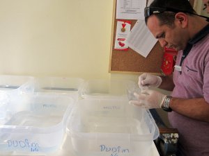 BÜYÜKŞEHİR’DE SİNEK MÜCADELESİ DEVAM EDİYOR