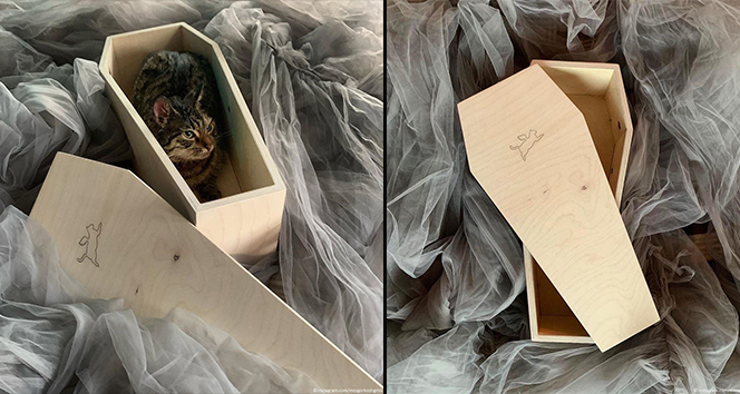 Rusya'da tır altına aldığı otomobille şarampole uçtu: 2 ölü