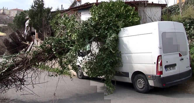 Elektrik direğini minibüsün üzerine devirdi