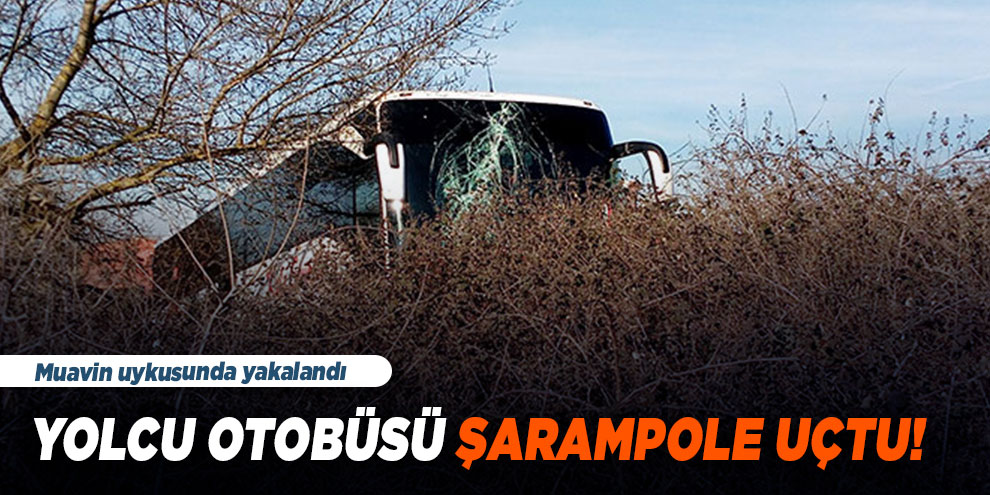 Yolcu otobüsü şarampole uçtu! Muavin uykusunda yakalandı