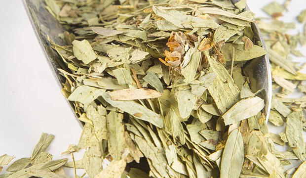 Şifalı bitkilerden Sinameki, Sinameki nedir?