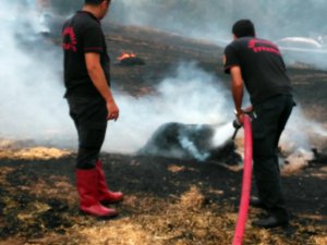 DEREKÖY MAHALLESİNDE KORKUTAN YANGIN