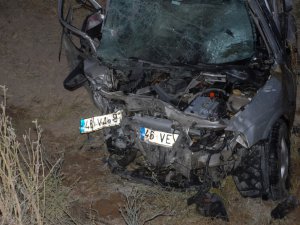 KÖPEK, FACİAYA YOL AÇIYORDU: 4 YARALI