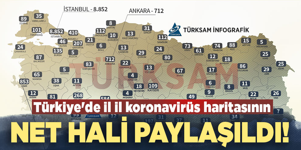 Türkiye'de il il koronavirüs haritasının net hali paylaşıldı!