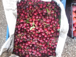 KİRAZ ÜRETİCİSİNİN YÜZÜNÜ GÜLDÜRDÜ