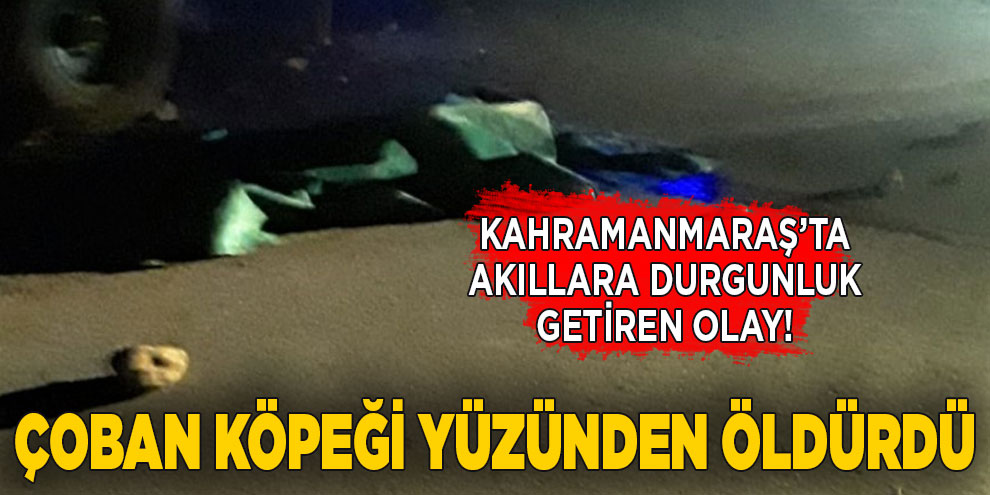 Çoban köpeği yüzünden dayısını ve kuzenini öldürdü