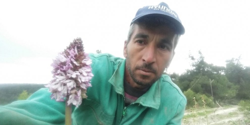 Koparmanın cezası 72 bin lira olan bitkiyle selfie