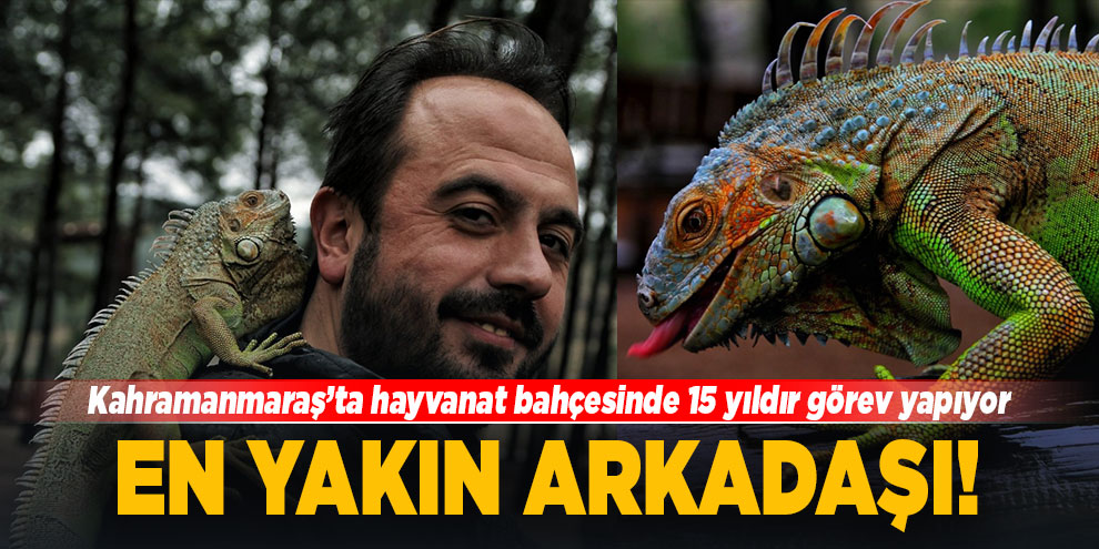 4 yıldır beslediği iguana en yakın arkadaşı oldu