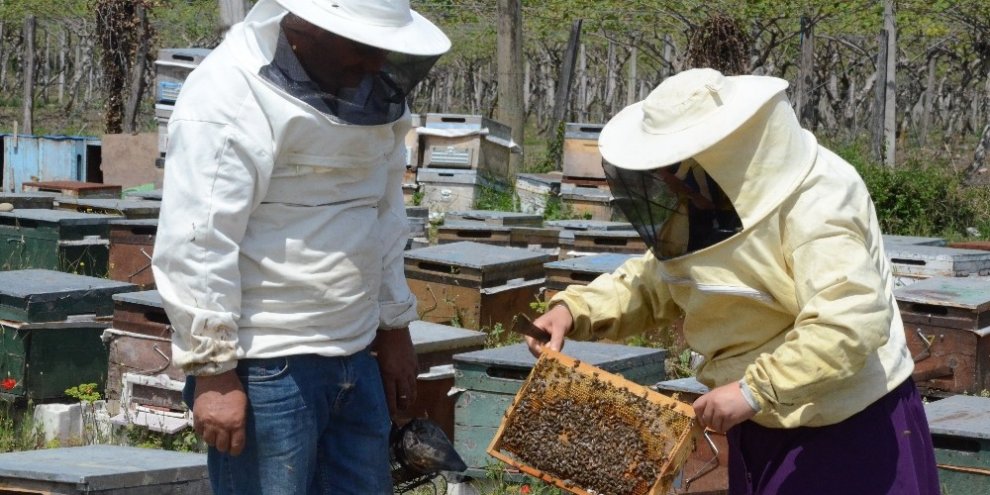 Korona virüse karşı ‘ballı’ önlem