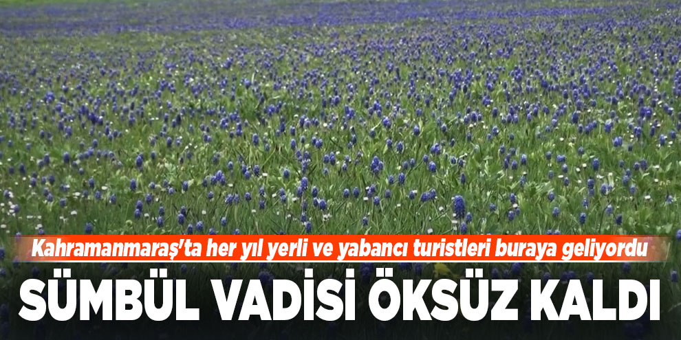 Kahramanmaraş'ta Sümbül Vadisi öksüz kaldı