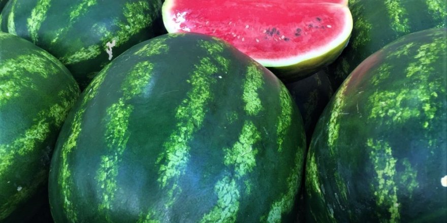 Karpuzda o devir artık sona erdi