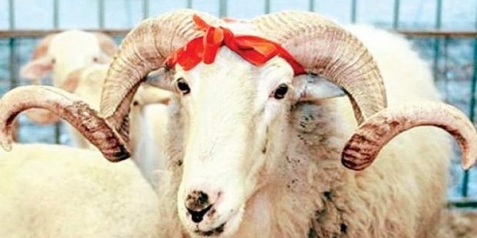 Diyanet İşleri Başkanı kurban bedellerini açıkladı