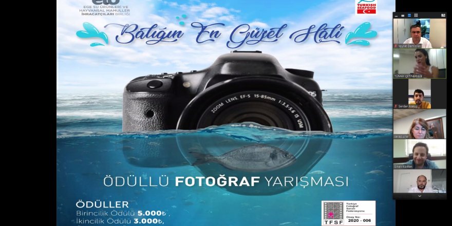 Balıklar oltaya değil, objektiflere takıldı