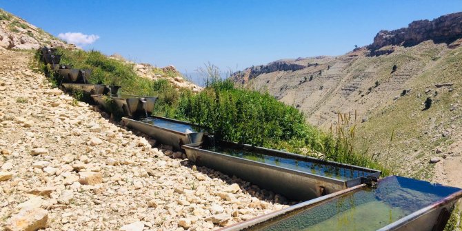 Hizmete sunulan sıvatlar amacı doğrultusunda kullanılıyor