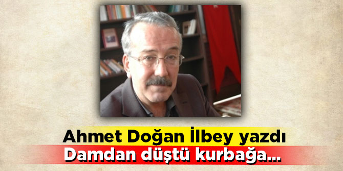 Ahmet Doğan İlbey yazdı, Damdan düştü kurbağa…