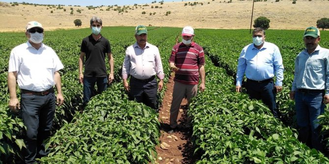 Türkoğlu'nda, üreticiler DİTAP hakkında bilgilendirildi