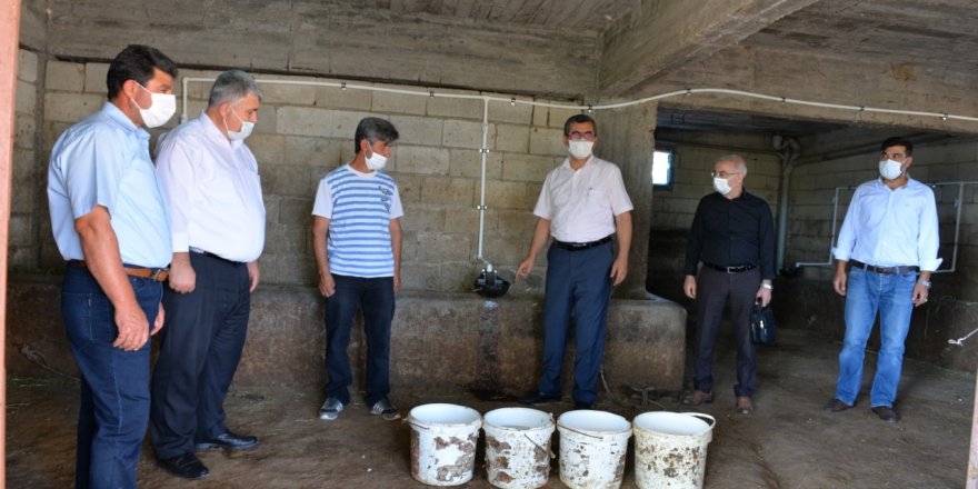 Kahramanmaraş, tarım ve hayvancılıkta emin adımlarla ilerliyor