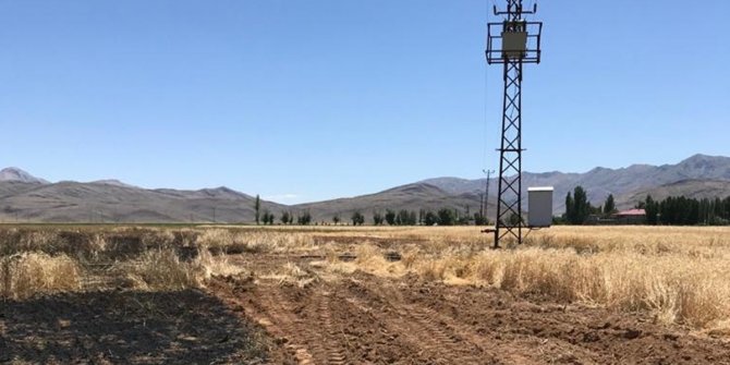 Elektrik teline çarpan karga tarlayı yaktı
