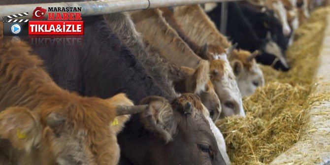 Virüs hazır kurban paket satışlarını arttırdı