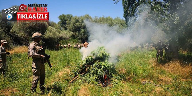 Diyarbakır'da dev uyuşturucu operasyonu: 858 ton esrara denk geliyor