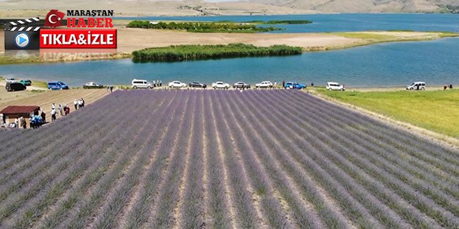 Devletten destek aldı lavanta bahçesi kurdu, ekonomisine can kattı